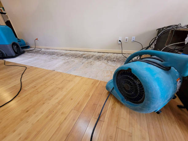 Professional Water Damage Repair technician working in Darlington, SC